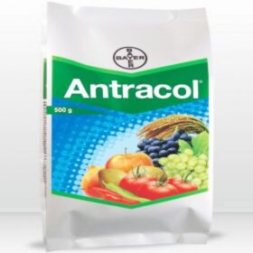 Antracol 500